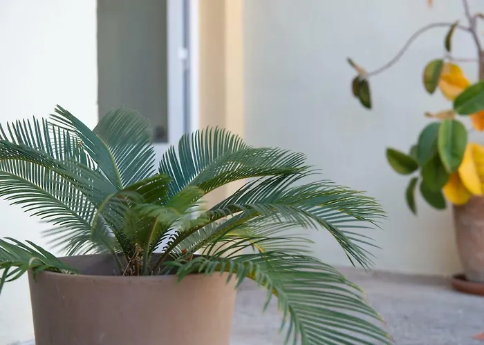 Villa Rive Rouge Riba-Roja De Turia