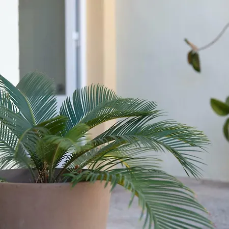 Villa Rive Rouge Riba-Roja De Turia